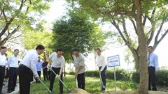 Bước tiến mới trong quản lý, phân cấp di tích tại Bình Định