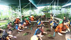 Du lịch canh nông, hướng đi mới ở các vùng miền núi Bình Định