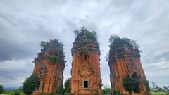 Hơn 93 tỉ đồng tu bổ, tôn tạo di tích quốc đặc biệt Tháp Dương Long