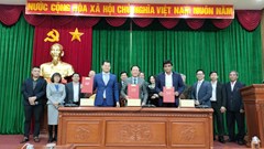 Hai nhà sản xuất du thuyền siêu sang muốn đầu tư tại Bình Định 