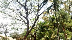 Du xuân ở thung lũng Quy Hòa