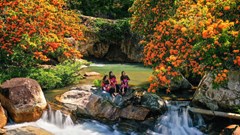 Hương sắc hoa Trang - Hòa quyện văn hóa và thiên nhiên