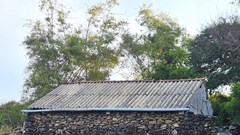 Ngôi làng đá độc đáo bên di sản Gành Đá Đĩa