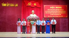 Gia Lai công bố nghị quyết, quyết định thành lập các cơ quan tham mưu, giúp việc