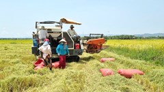 No ấm từ đại thủy nông Ayun Hạ