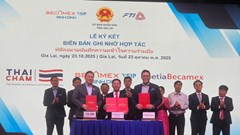 Gia Lai mời gọi cộng đồng doanh nghiệp Thái Lan