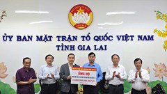 Nutifood ủng hộ 10 tỉ đồng hỗ trợ người dân Gia Lai bị ảnh hưởng do bão số 13