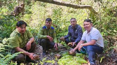 Gia Lai thả tê tê, rùa núi vàng quý hiếm về môi trường tự nhiên