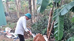 Phát hiện phù điêu tại Di tích quốc gia đặc biệt tháp Dương Long