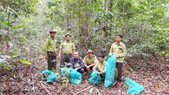 Vườn quốc gia Kon Ka Kinh: Thả 17 cá thể động vật rừng về môi trường tự nhiên