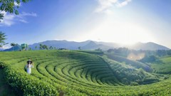 La Bằng thức giấc cùng du lịch xanh dưới chân Tam Đảo