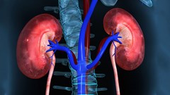 Đi tiểu nhiều bọt có phải bị suy thận? Bác sĩ bệnh viện Bạch Mai giải đáp