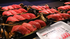 Bất ngờ máy sử dụng siêu âm và AI có thể đo độ béo của cá ngừ