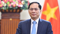 Cơ hội để Việt Nam khẳng định những cam kết mạnh mẽ trong thực hiện các mục tiêu phát triển bền vững