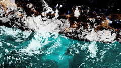 Phát hiện mới dưới đại dương được gọi tên sau hơn 400 năm