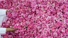 Thành phố hoa hồng của Saudi Arabia làm đắm say du khách