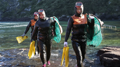 Những kình ngư gắn liền với cuộc sống  biển cả đại dương