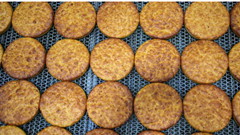 Phát hiện ra bánh mì 5.000 năm tuổi ở Thổ Nhĩ Kỳ