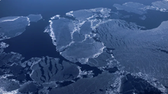 Thế giới dự báo về thời tiết khắc nghiệt và nắng nóng trong 5 năm tới