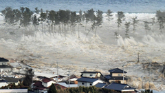 Nhật Bản tìm cách giảm 80% khả năng thương vong do thiên tai 