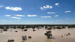 Sức sống “hồi sinh” ở vùng xa xôi khô cằn của Australia thu hút khách du lịch