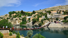 Đến “thành phố chìm” chiêm ngưỡng loài hoa hồng đen huyền bí