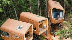 Độc đáo kiến trúc nhà trên cây “hút hồn” du khách