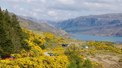 Đường cao tốc của Scotland đã trở thành “ác mộng du lịch quá mức”