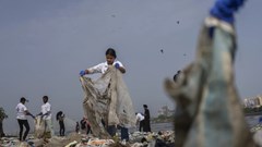 Báo động giải quyết khẩn cấp