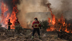 Châu Âu “bốc cháy” do nắng nóng kỷ lục