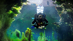 Khám phá thế giới lặn tuyệt vời ẩn dưới những con phố của Budapest (Hungary)