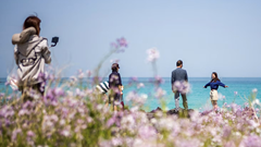 Đảo Jeju (Hàn Quốc) ban hành bộ quy tắc ứng xử đối với du khách nước ngoài