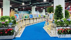 Thông điệp hạnh phúc từ những điều bình dị