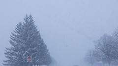 Mỹ sắp trải qua bão mùa đông băng giá ở quy mô lớn