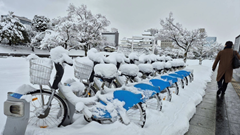 Nhật Bản đối mặt với đợt tuyết dày kéo dài, giao thông tê liệt