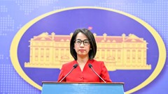 Việt Nam hoan nghênh mọi nỗ lực đem lại hoà bình bền vững cho Dải Gaza