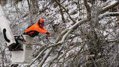 Miền Nam nước Mỹ bước sang tuần rét đậm ​thứ hai liên tiếp 