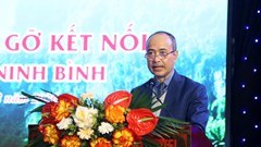 Tăng cường kết nối, phát huy hiệu quả nguồn lực kiều bào tại Ninh Bình