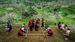 Phát động Cuộc thi Ảnh, Video “Tết hạnh phúc”