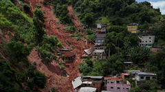 Vùng trồng cà phê Brazil “điêu đứng” vì lũ lụt tàn phá