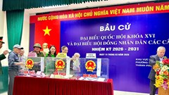 Kiều bào về nước gửi trọn niềm tin qua lá phiếu bầu cử