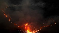 Mỹ Latinh khẩn trương ứng phó El Niño trước nguy cơ thời tiết cực đoan