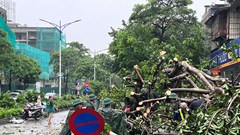 Huy động tổng lực các lực lượng dọn dẹp phố phường Thủ đô