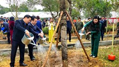 Sơn Tây phát động Tết trồng cây và khai bút đầu xuân Ất Tỵ 2025