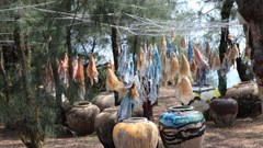 Lễ hội biển Tam Kỳ diễn ra vào giữa tháng 6.2024