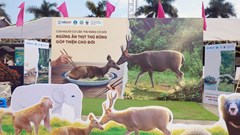 Các hoạt động hưởng ứng Ngày Quốc tế đa dạng sinh học năm 2024