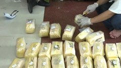 Bắt 8 đối tượng vận chuyển gần 200 kg ma túy từ Lào về Việt Nam