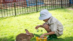"Chung tay bảo vệ rừng, bảo vệ động vật hoang dã"