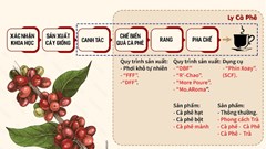 Thưởng thức cà phê phin Việt Nam kết hợp bộ pha trà Nhật Bản