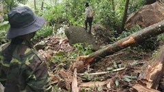 Động đất khiến nhiều tảng đá lớn lăn xuống làng Tu Hon 